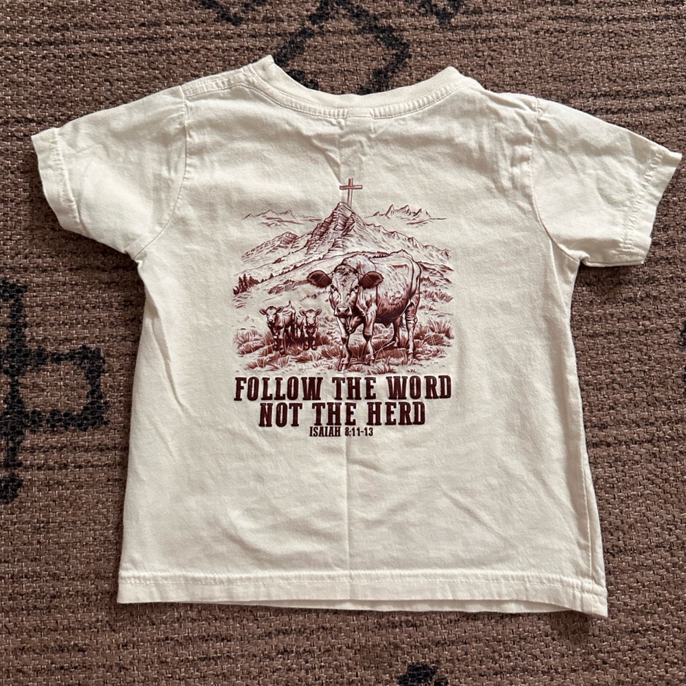 3T Wild Threads Co Isaiah 8:11-13 Shirt